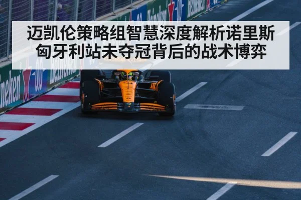 迈凯伦策略组智慧深度解析诺里斯匈牙利站未夺冠背后的战术博弈
