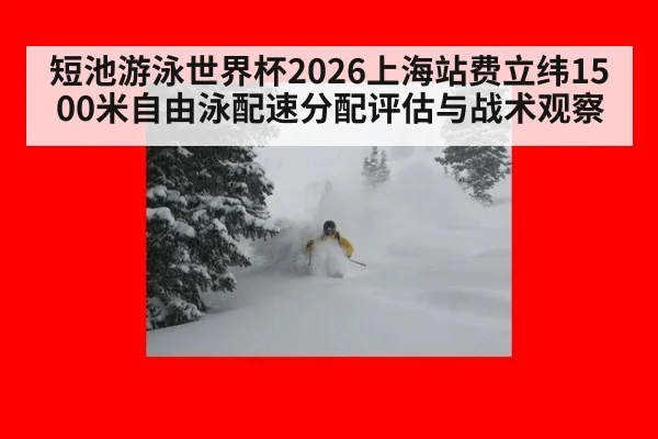 短池游泳世界杯2026上海站费立纬1500米自由泳配速分配评估与战术观察